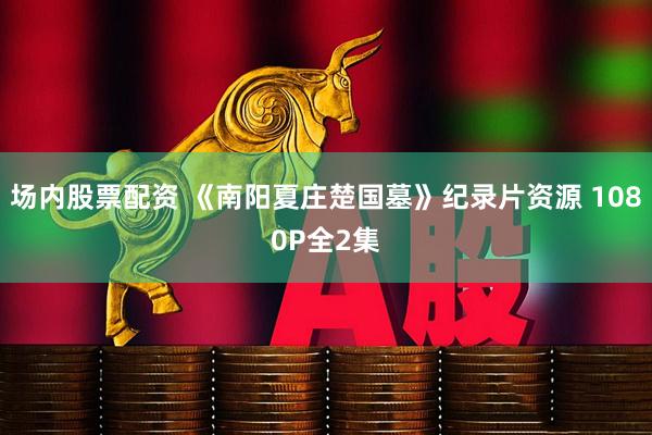 场内股票配资 《南阳夏庄楚国墓》纪录片资源 1080P全2集