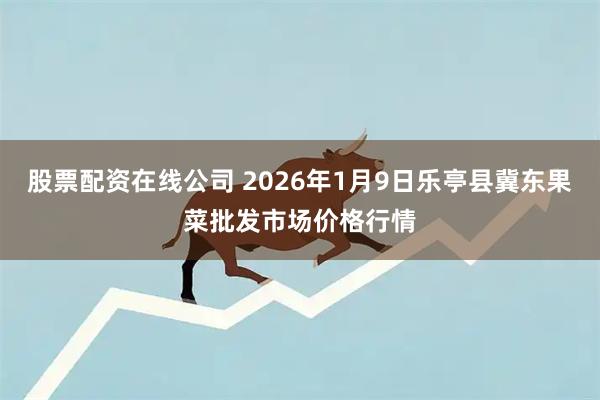 股票配资在线公司 2026年1月9日乐亭县冀东果菜批发市场价格行情
